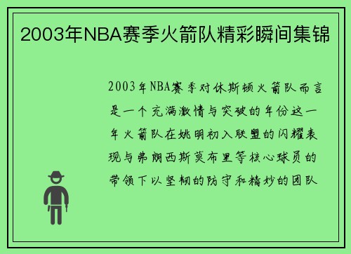 2003年NBA赛季火箭队精彩瞬间集锦